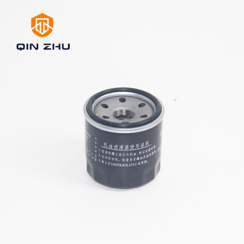 Alternative view of OIL FILTER 1012010-01