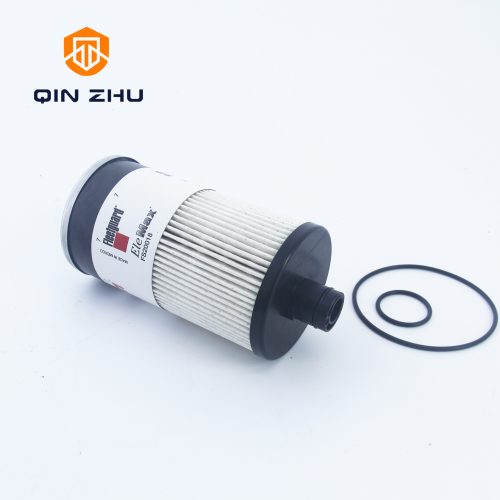 Alternative view of FUEL FILTER FS20018
