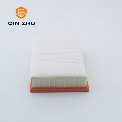 AIR FILTER 1109101XGW01A - Image 4